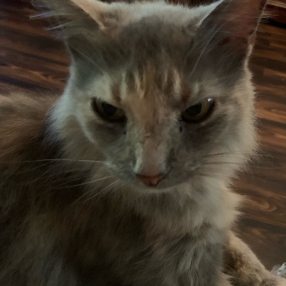 Meet your Posher, Debbie.Handmade jewelry - Picture 7 of 17